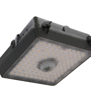 LED Canopy Light- Selectable Wattage and Color
