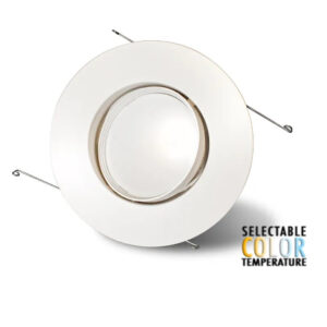 LED 6" Eyeball Retrofit Can Light 15 Watt - (Sold in QTYs of 16)